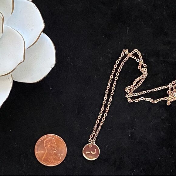 Delicate Rose Gold Tone Just One Breast Cancer Mastectomy Pendant Necklace NWT - Picture 8 of 12